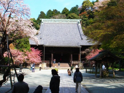 妙本寺