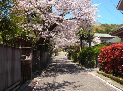 浄妙寺1