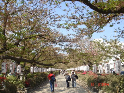 dsc01394