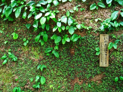 東慶寺