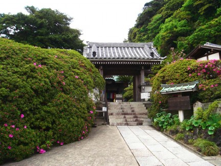 安養院