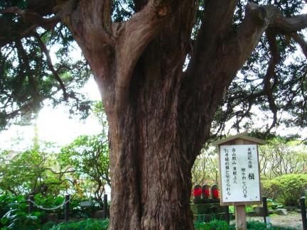 安養院