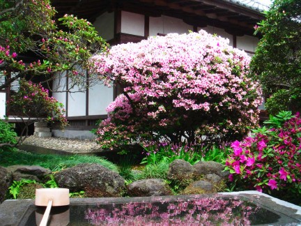 安養院