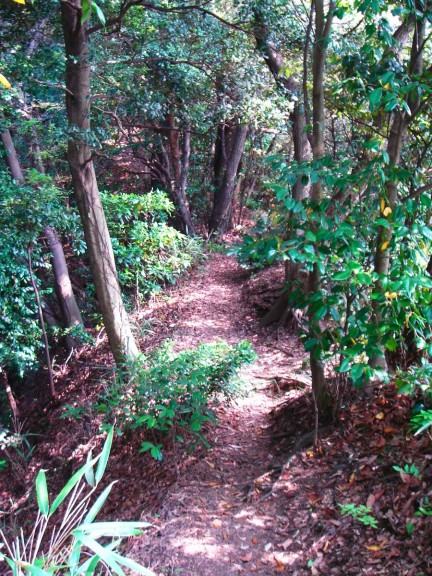 安国論寺山道