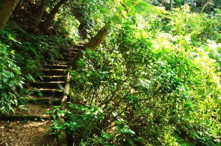 安国論寺山道