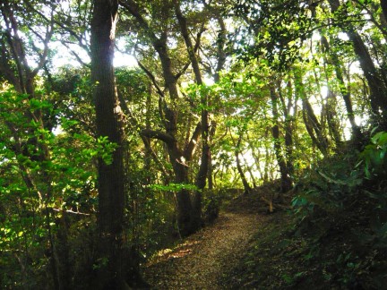 祇園山