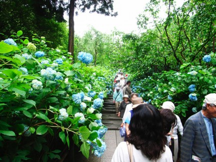 明月院