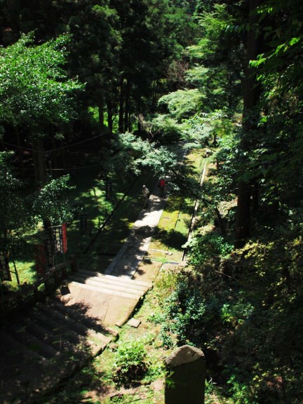 天園ハイキングコース