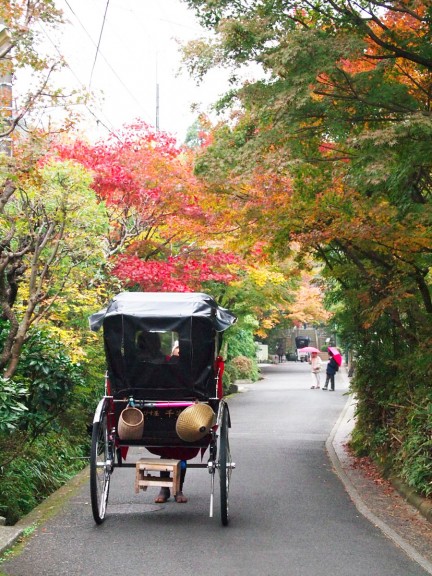 海蔵寺紅葉