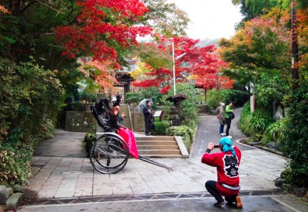 海蔵寺紅葉